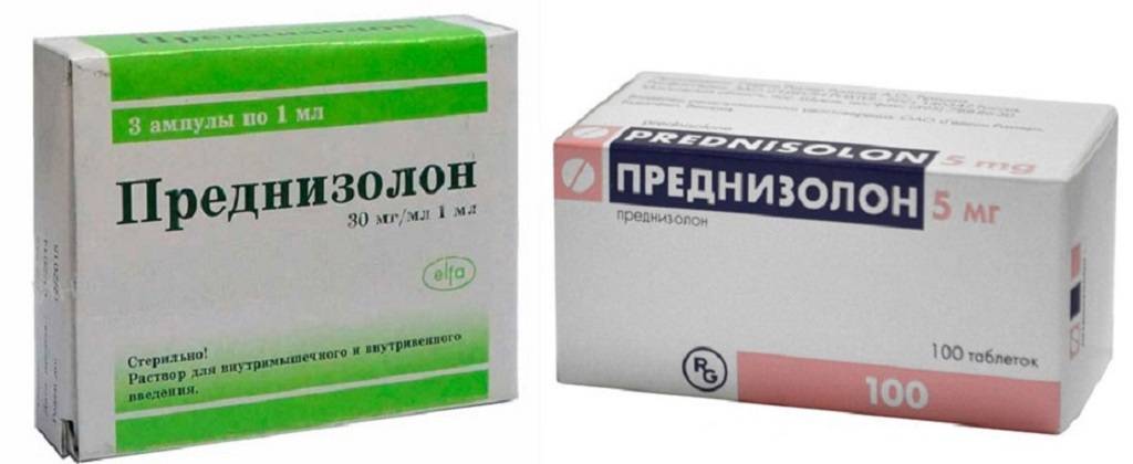 Лечение собак Преднизолоном за и против. Преднизолон для собак для чего назначают, инструкция по применению, дозировка Последствия приема преднизолона у собак