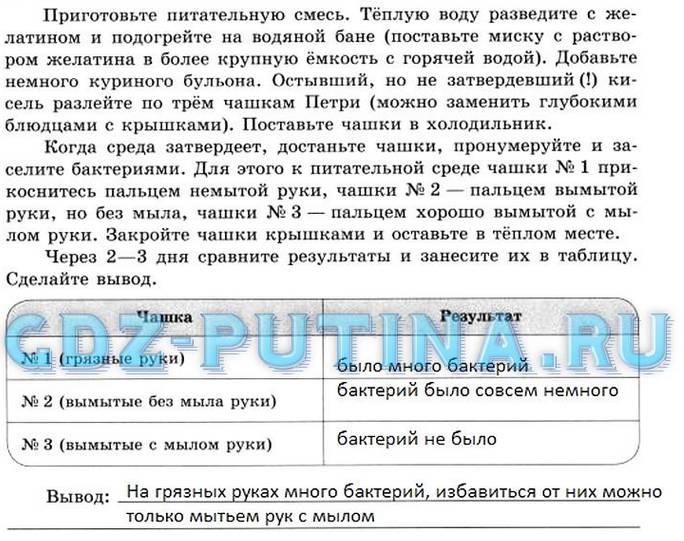 Роль бактерий в природе и жизни человека доклад, сообщение 5, 7 класс