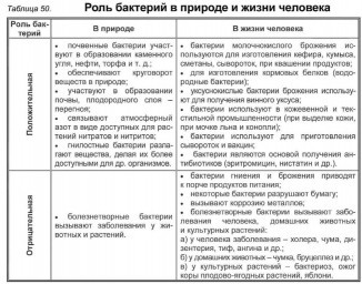 Значение бактерий в природе и жизни человека