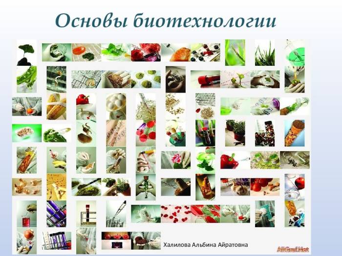 Раскрываем секрет, в каких продуктах содержатся пробиотики