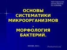 Молочнокислые бактерии: это что такое и в чем их польза