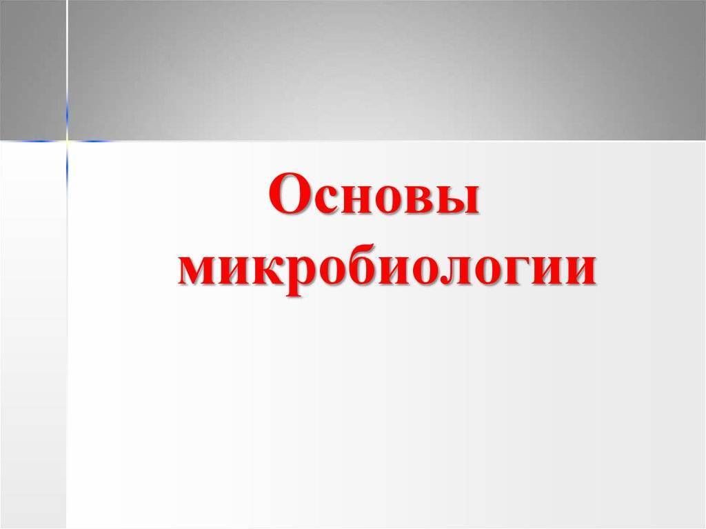 Что мы знаем о бактериях, которые едим?