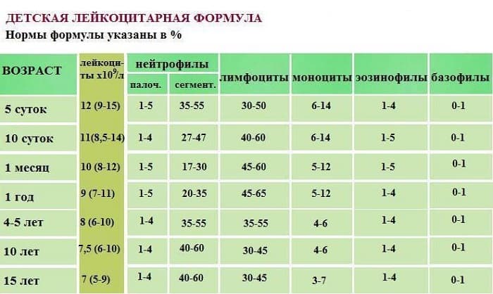 Бактерии в моче у женщин: что это значит, причины, проведение анализа, расшифровка, лечение
