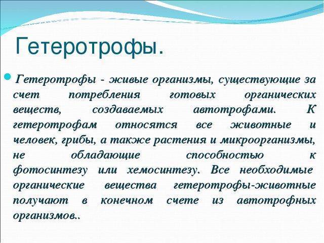 Гетеротрофы