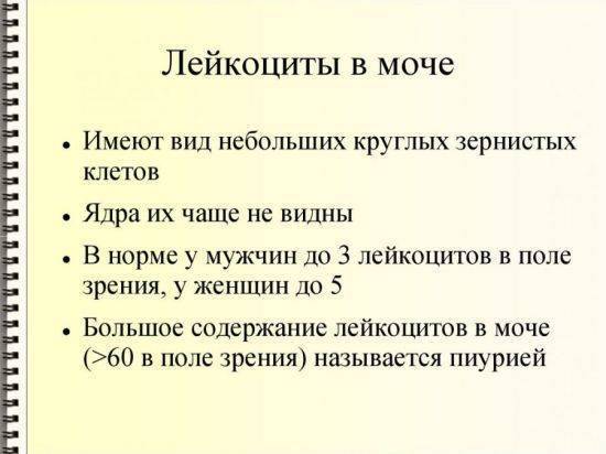 Причины и методы лечения бактериурии