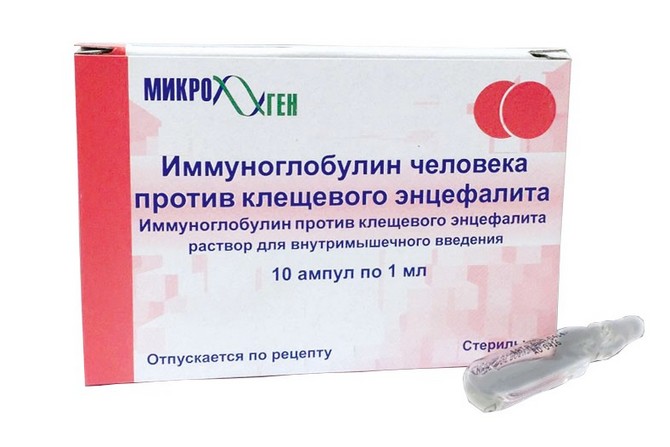Противоклещевой иммуноглобулин – инструкция по применению вакцины