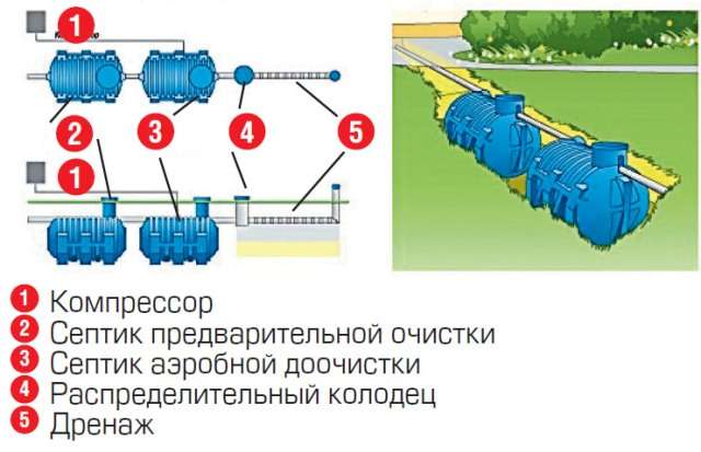 Статьи по теме