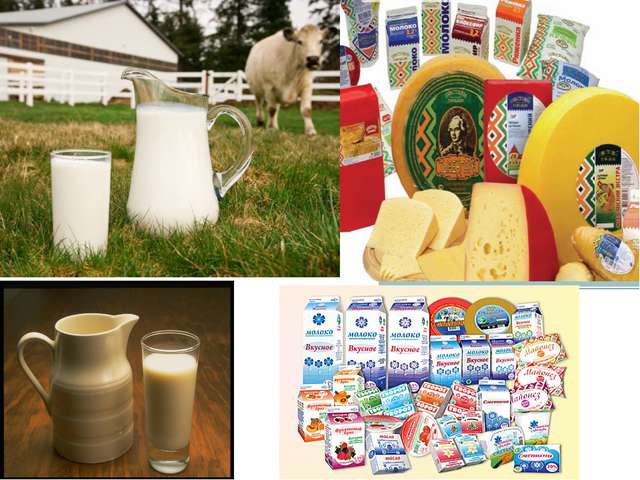 В каких продуктах содержатся пробиотики для кишечника – 10 лучших источников