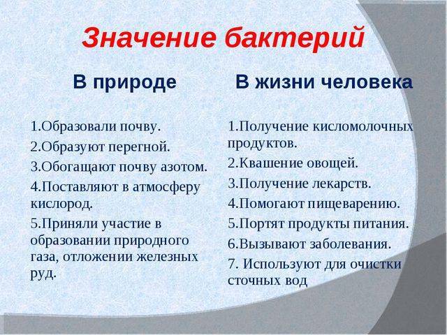 Значение бактерий в природе и в жизни человека – opiq