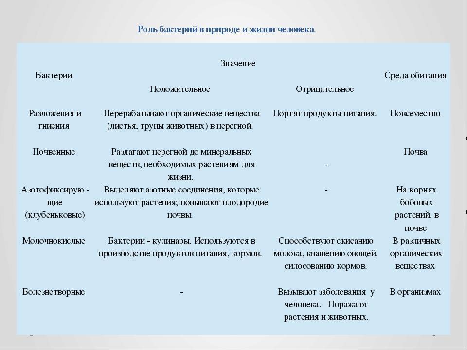 Значение бактерий в природе и жизни человека
