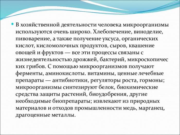Польза и вред молочнокислых бактерий