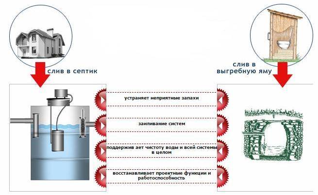Аэробные бактерии для септиков и выгребных ям — разъясняем по порядку