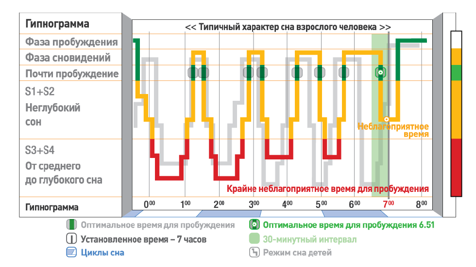 Правильная таблица с временем отхода ко сну и временем пробуждения. как оставаться бодрым?