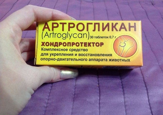 Артрогликан для собак: правила применения и подбор дозировки