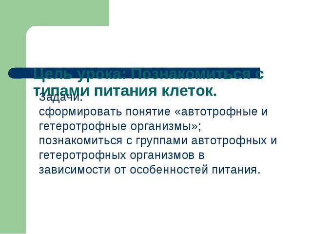Что такое гетеротрофы в биологии