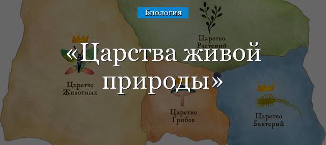 Iii международный конкурс научно-исследовательских и творческих работ учащихся
старт в науке