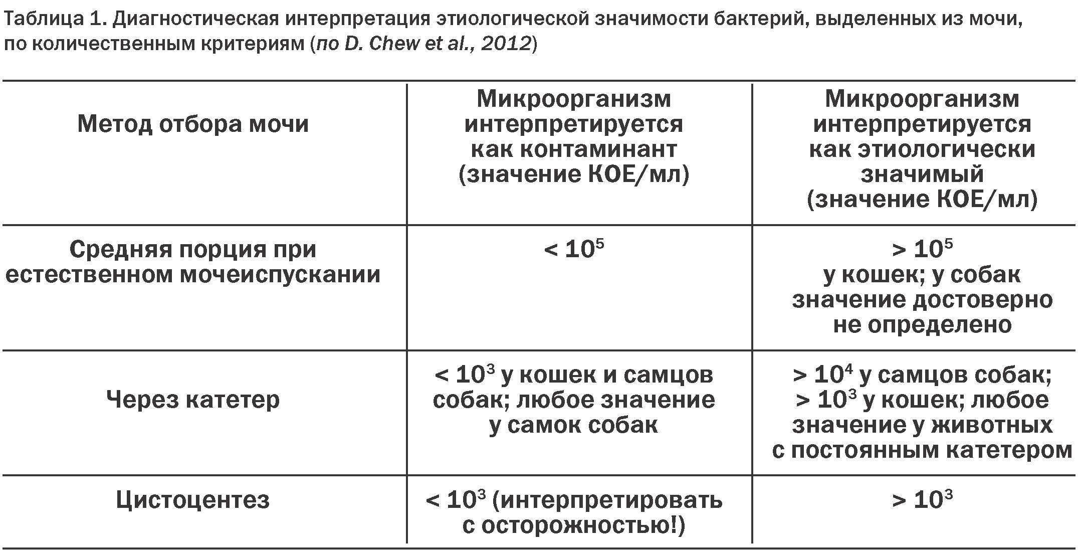 Бактерии в моче — инфекция или нарушение гигиены?