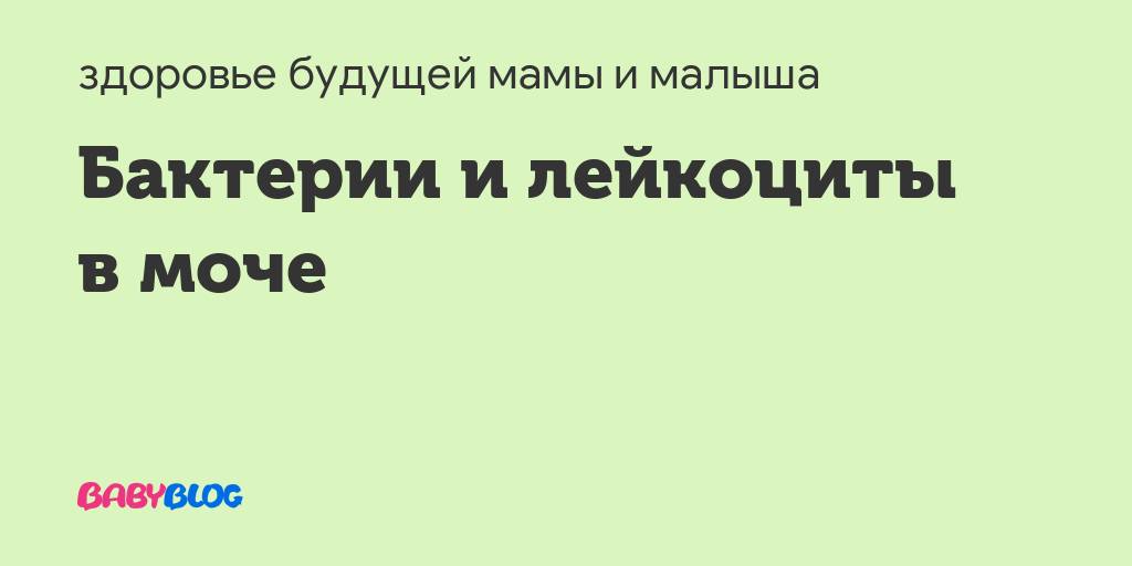 Обнаружено в моче большое количество бактерий: что это значит, чем лечить