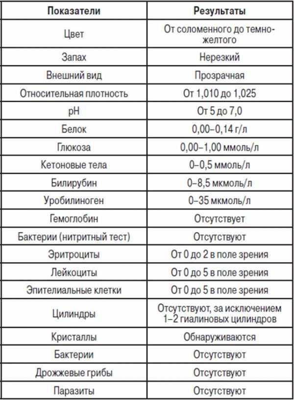 Анализ мочи на бактерии