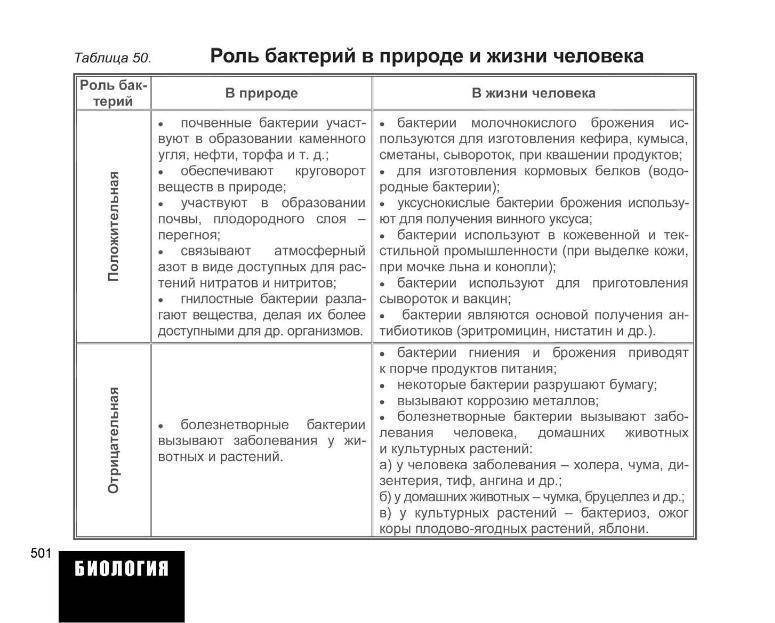 Роль бактерий в природе и жизни человека доклад, сообщение 5, 7 класс
