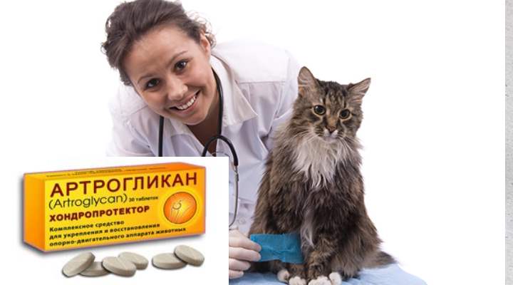 «артрогликан»: состав, инструкция, побочные действия
