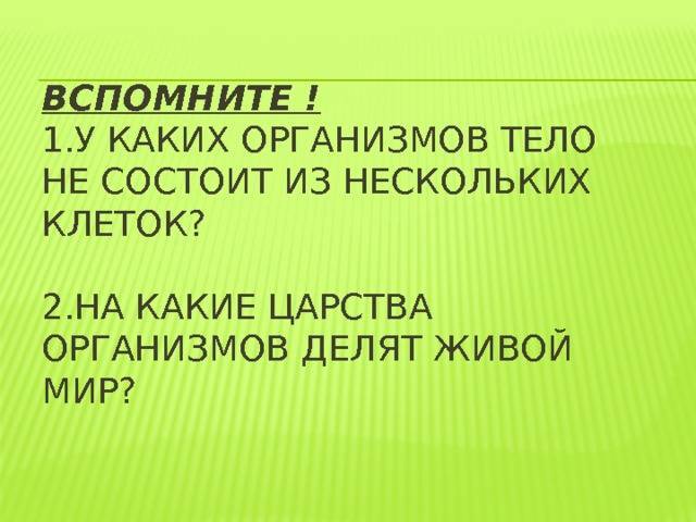 Роль бактерий в изготовлении кисломолочных продуктов