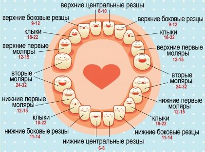 Зубы: признаки появления у грудничка