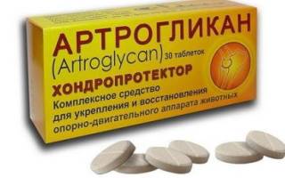 Артрогликан для собак: правила применения и подбор дозировки