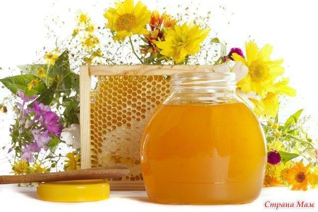 Лепешка от кашля с горчичным порошком