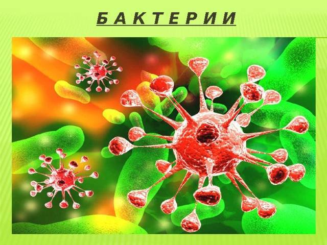 Список ферментированных продуктов для здоровья