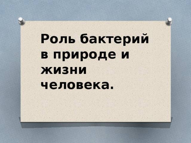 Бактерии: происхождение, изучение и строение, положительная и отрицательная роль