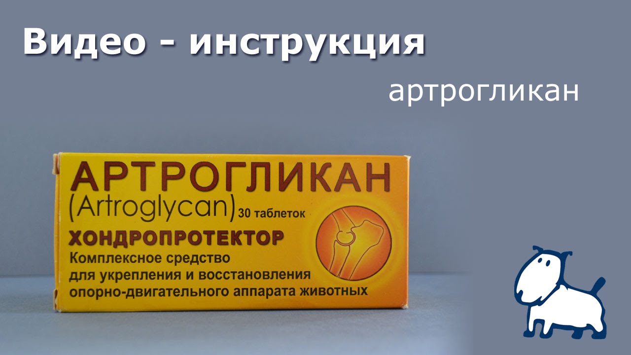 Артрогликан для здоровья суставов кошки