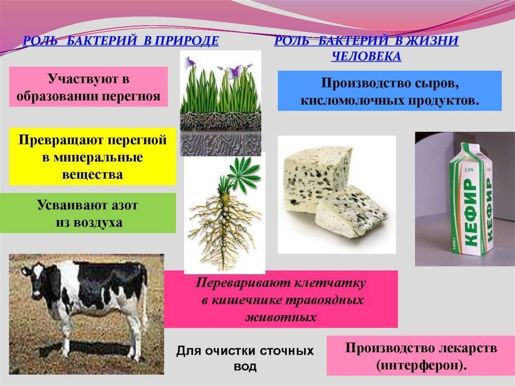 V международный конкурс научно-исследовательских и творческих работ учащихся
старт в науке