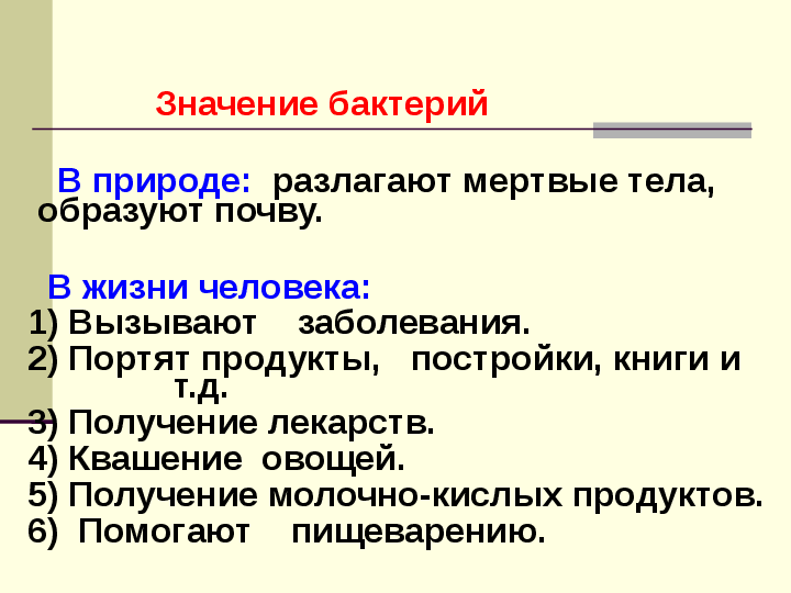 Значение бактерий в природе и в жизни человека