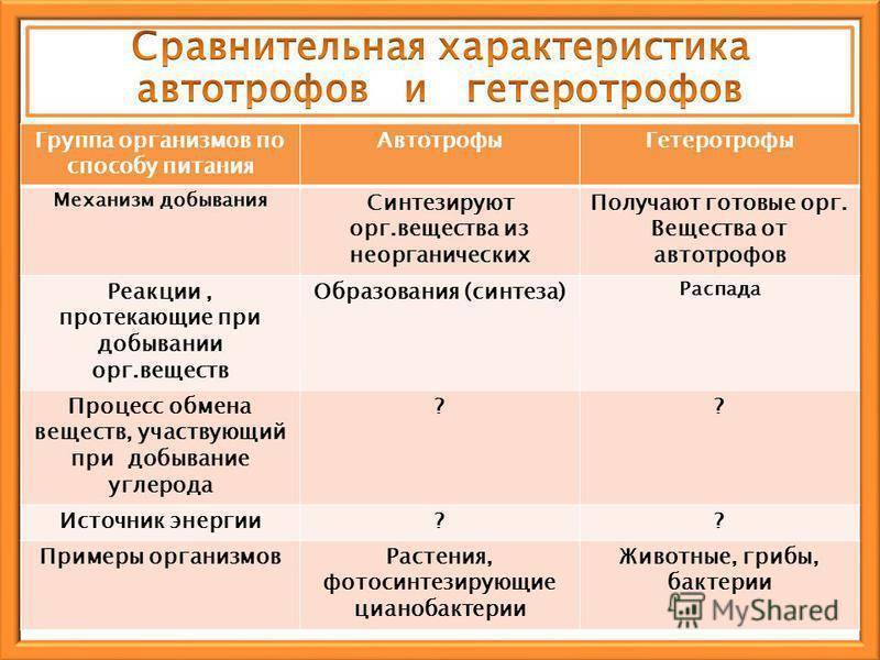 Классификация живых организмов по способу питания и механизму превращения энергии