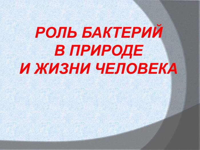 Значение бактерий в природе и жизни человека