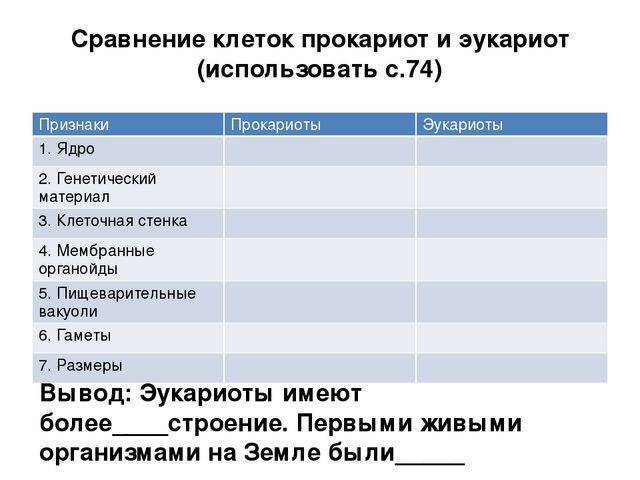Классификация живых организмов по способу питания и механизму превращения энергии