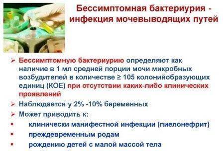 Обнаружено в моче большое количество бактерий: что это значит, чем лечить