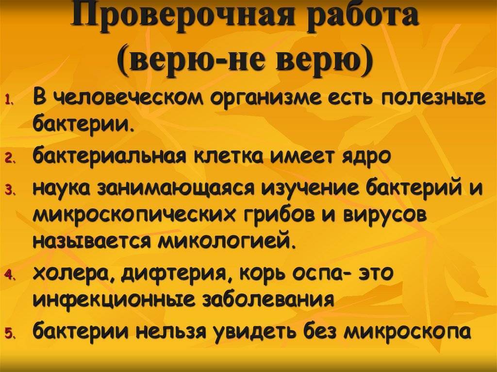 Польза и вред бактерий для человеческого организма