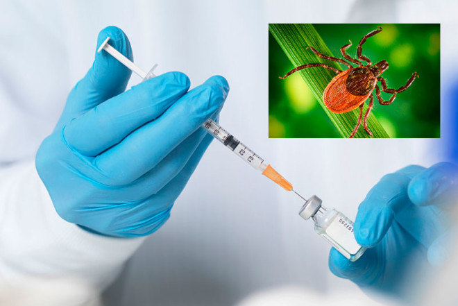 Иммуноглобулин человека против клещевого энцефалита (immunoglobulin human against encephalitis ixodicum)