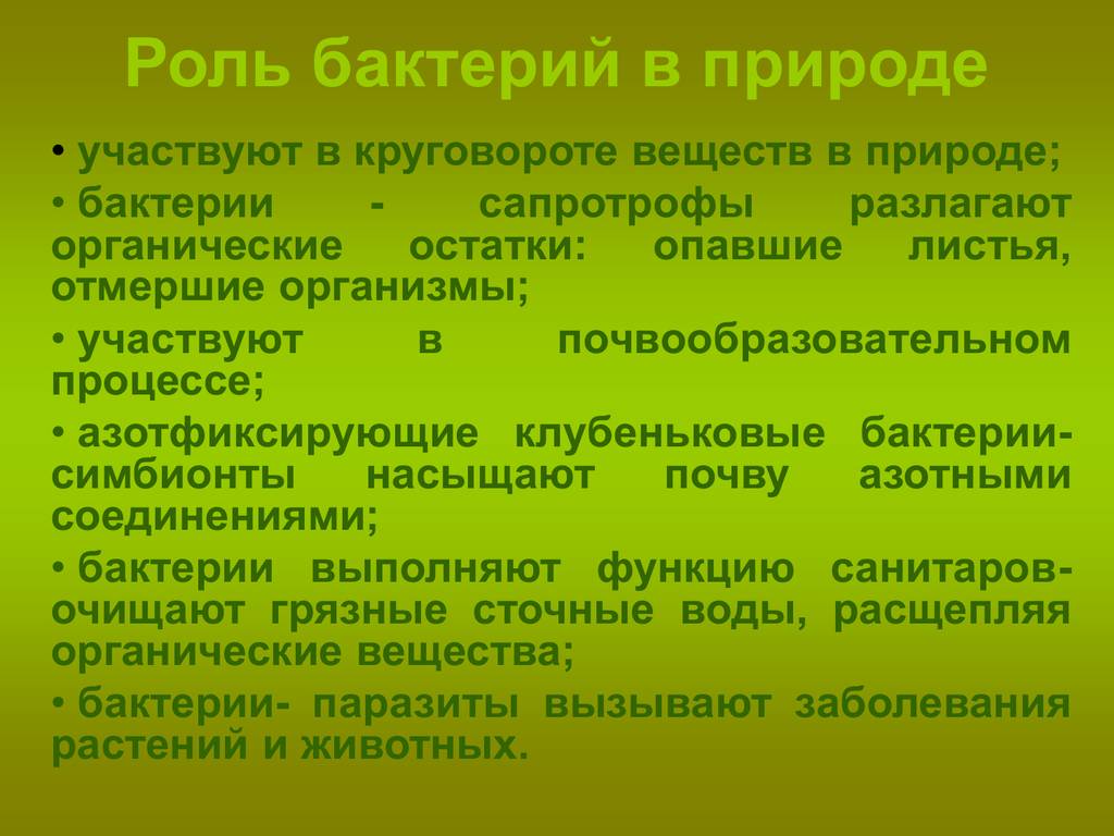 Доклад роль бактерии в жизни человека