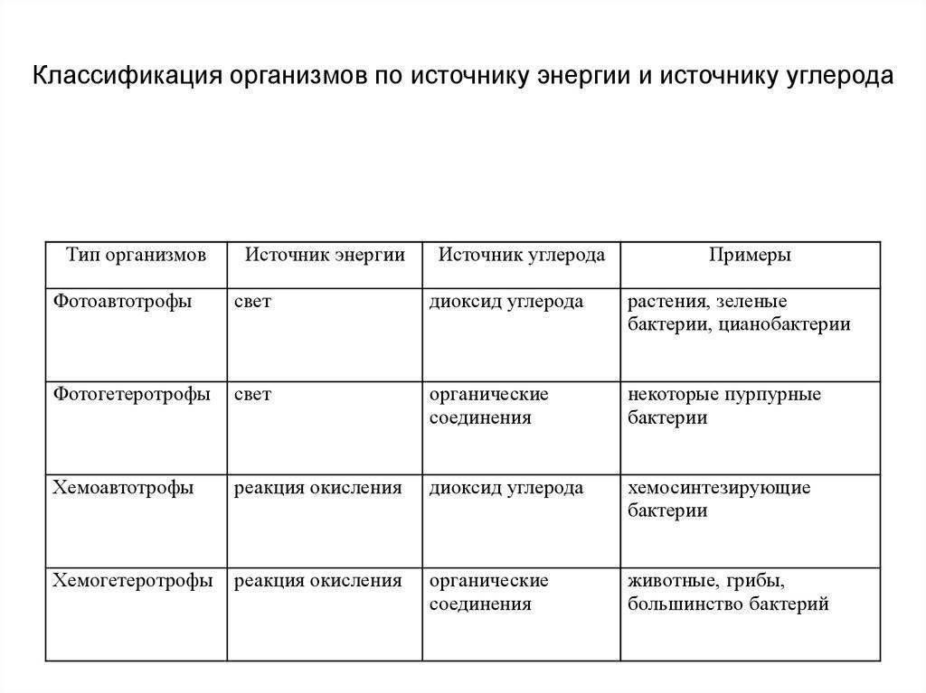 Какие группы бактерий по способу питания могут быть и в чем их различия