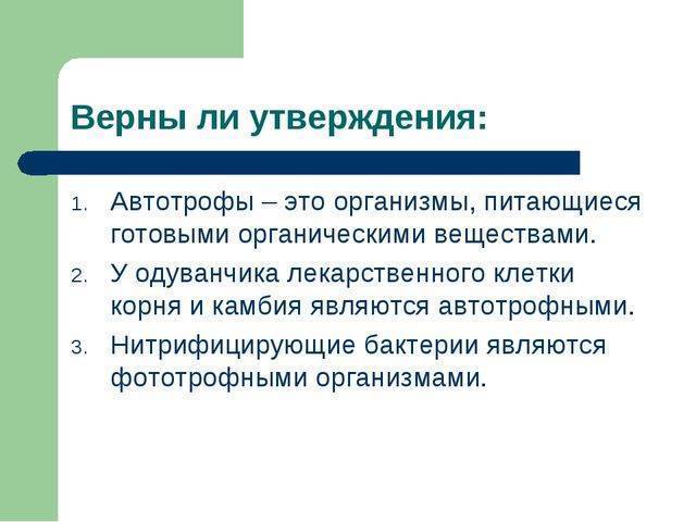 Автотрофные бактерии: классификация, размножение, спорообразование и распространение бактерий