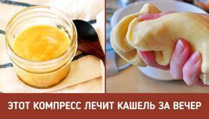 Как правильно сделать лепешку от кашля из горчицы и меда — несколько простых рецептов