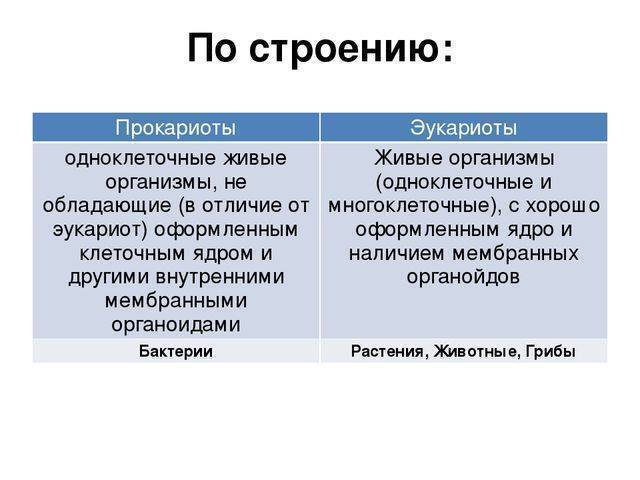 Автотрофные бактерии: классификация, размножение, спорообразование и распространение бактерий