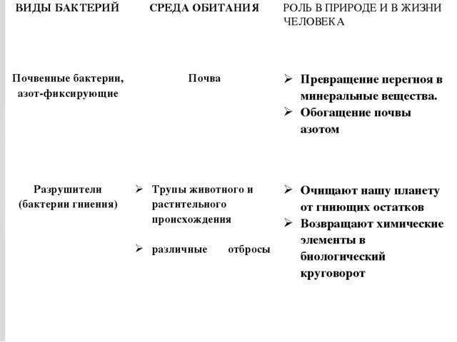 Значение бактерий в природе и в жизни человека – opiq