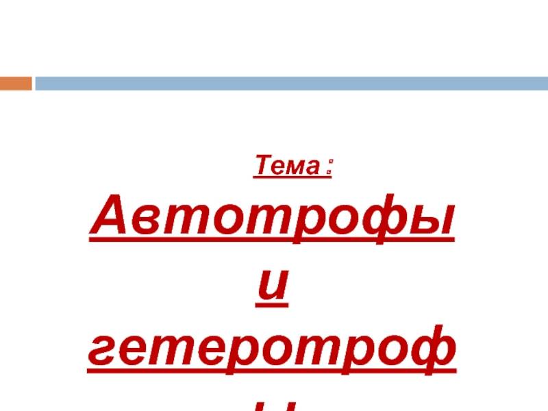 Гетеротрофы — что это такое | ktonanovenkogo.ru