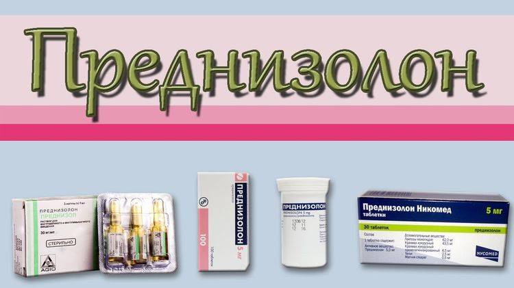 Лечение собак Преднизолоном за и против. Преднизолон для собак для чего назначают, инструкция по применению, дозировка Последствия приема преднизолона у собак