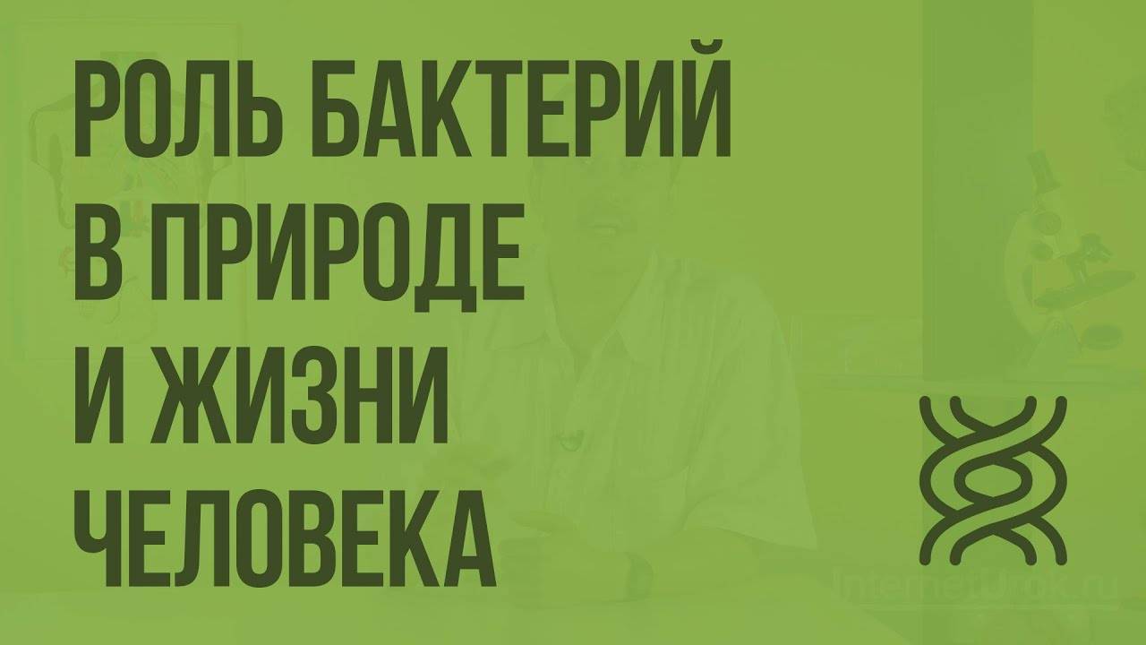 Доклад роль бактерии в жизни человека