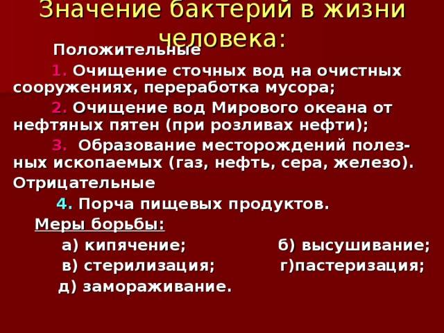Какую пользу могут принести бактерии человеку и какой вред нанести здоровью?